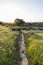 Dawn Meadow Trail at Santa Susana Pass State Historic Park in Lo