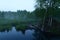 Dawn moonset over the summer forest and beaver hut