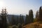 Dawn in the mountains-firs and peaks of the mountain range in the fog and in the light of the first cold rays of the sun .