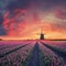 Dawn over Field of Tulip and Windmill