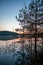 Dawn over lake with silhouette reflection tree