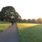 Dawn Park Walk On Path