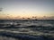 Dawn with Pelicans and Seagulls in Spring at Miami Beach, Florida.