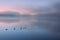 Dawn Pete`s Lake in Fog