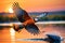 Dawn\\\'s Dance: Pair of Birds Mid-Flight, Reflected Sunrise Hues on Sleek Feathers, Wings Spread Wide, Close-Up Soft Focus