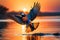 Dawn\\\'s Dance: Pair of Birds Mid-Flight, Reflected Sunrise Hues on Sleek Feathers, Wings Spread Wide, Close-Up Soft Focus