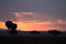 Dawn at Serengeti National Park, Tanzania, Africa