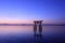 The dawn of Shirahige Shrine on The Biwa Lake