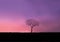 At dawn, the sun rises over a countryside landscape with a single tree as a backdrop.