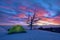 Dawn On Tent In Winter Etna Park, Sicily