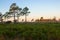 Dawn at Three Lakes Wildlife Management Area, Florida