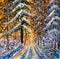 Dawn in the winter forest. Sunrise of a warm yellow sun in a cold blue winter forest. Winter landscape. Large Christmas trees. Pos
