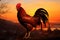 Dawns announcement, rooster shadow cast by the morning sunrise light