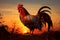 Dawns announcement, rooster shadow cast by the morning sunrise light