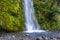 Dawson Falls at Mount Taranaki