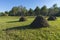 Day countryside landscape. Stack of hay