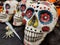 Day of The Dead colorful skulls