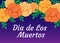 Day of the dead, Mexican holiday, festival (Dia de los muertos).