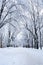 Day in an empty winter park after a snowfall. Tree branches are covered with hoarfrost and fresh fluffy snow.