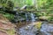 Day Pond Brook Falls and a fallen tree