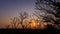 Day to night time lapse of sunset with tree limb