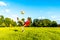 Day view of boy playing football summer park