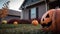 Day view of a halloween pumpkins nearby house in autumn