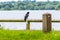 Day view of lonely Crow on lake fencing