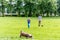 Day view two boys and dog playing football summer park