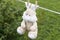 daylight. on a clothesline hanging soft children's toys. they are fixed with a clothespin