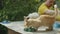 Daylight\'s Feline Encounter: In the warmth of the day, a frightened ginger cat crosses paths with people, seeking