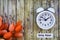 Daylight Savings Time Spring Ahead concept top down view with white clock and orange tulips