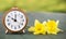 Daylight savings time, spring forward - alarm clock and easter flowers