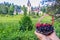 Daylight view to woman hands holding basket with blackberries an