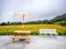 The daylily hillside landmark at chih-ke Mountainchi ke shan, Hualian East Rift Valley of Taiwan