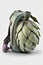 Daypack with artichoke vegetable design. Shoulder bag, elegant unusial leather daypack, AI generative