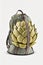 Daypack with green artichoke vegetable design. Shoulder bag, backpack, small bag, elegant unusial female or teenager leather