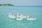Daytime atmosphere There are geese swimming along the beach, clear water, Koh Larn Tropical Beach, Pattaya City, Chonburi,