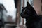Daytime, city street, black cat. Symbol of superstition. Generative AI