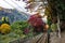 Daytime view of the beautiful fall color along the Eizan Cable Car railway