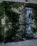 Daytime view of a door on a wall with grown moss over it