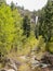 Daytime view of the landscape of Treasure Falls