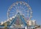 Daytona Beach Ferris Wheel