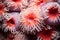 Dazzling Depths, Vibrant Anemone Texture Captures Underwater Magic