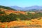 The Dazzling Dongchuan Red Soil Scenic Area