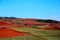 The Dazzling Dongchuan Red Soil Scenic Area