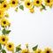 Dazzling sunflower border