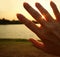 Dazzling sunlight shining through the fingers of woman`s hand