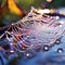 The Dazzling Symphony: Enchanting Spider Web with Sparkling Dew