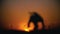 De-focused silhouette of male fighter performing capoeira tricks on the hill at sunset